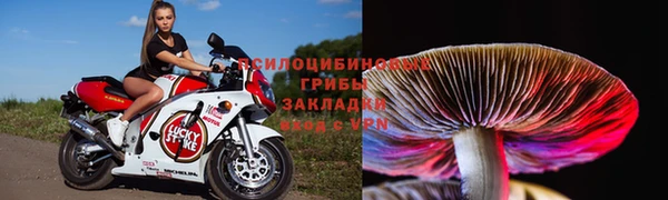 гашик Балахна