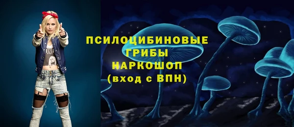 соль ск Приозерск