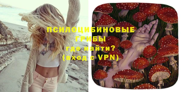 гашик Балахна