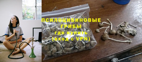 гашик Балахна