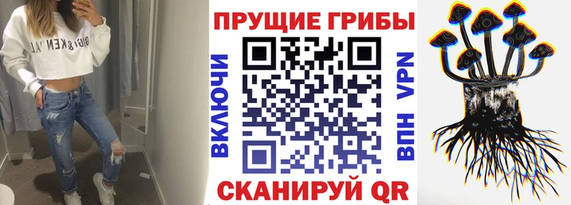 Псилоцибиновые грибы мухоморы  наркошоп  Закаменск 