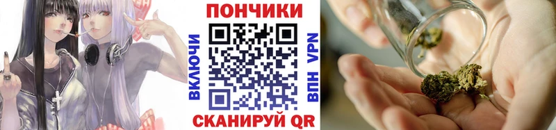Шишки марихуана план Закаменск